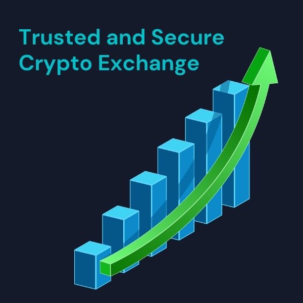 <strong>Blockchain & Crypto Development</strong>